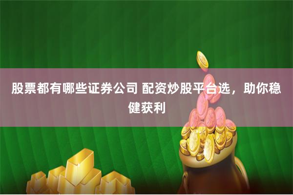 股票都有哪些证券公司 配资炒股平台选,助你稳健获利