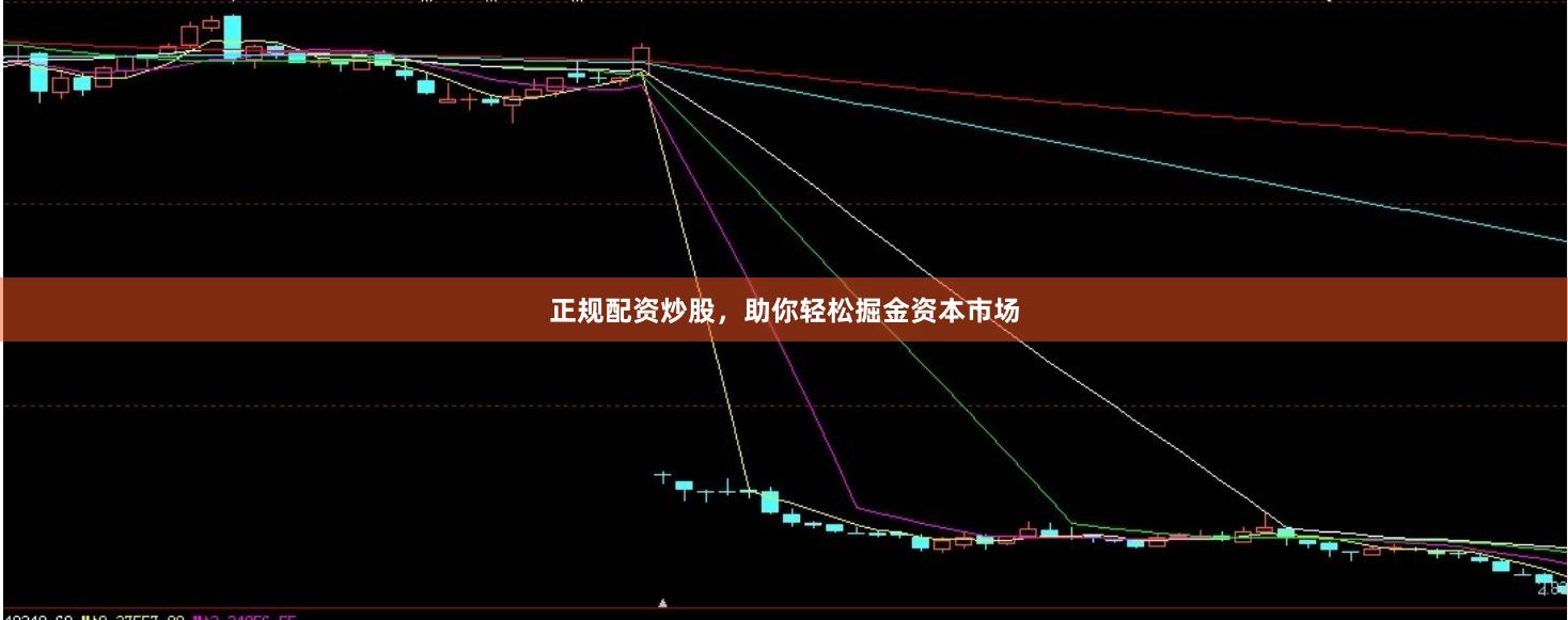 正规配资炒股，助你轻松掘金资本市场
