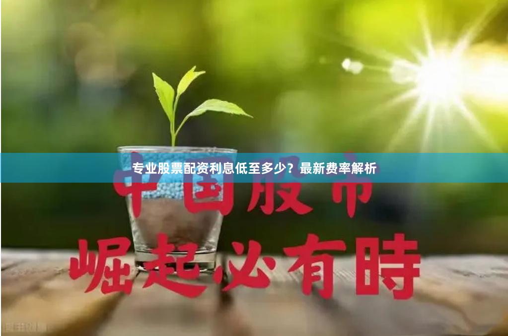 专业股票配资利息低至多少？最新费率解析